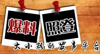 淡水新闻爆料,揭秘事件背后真相 第2张 淡水新闻爆料,揭秘事件背后真相 第2张